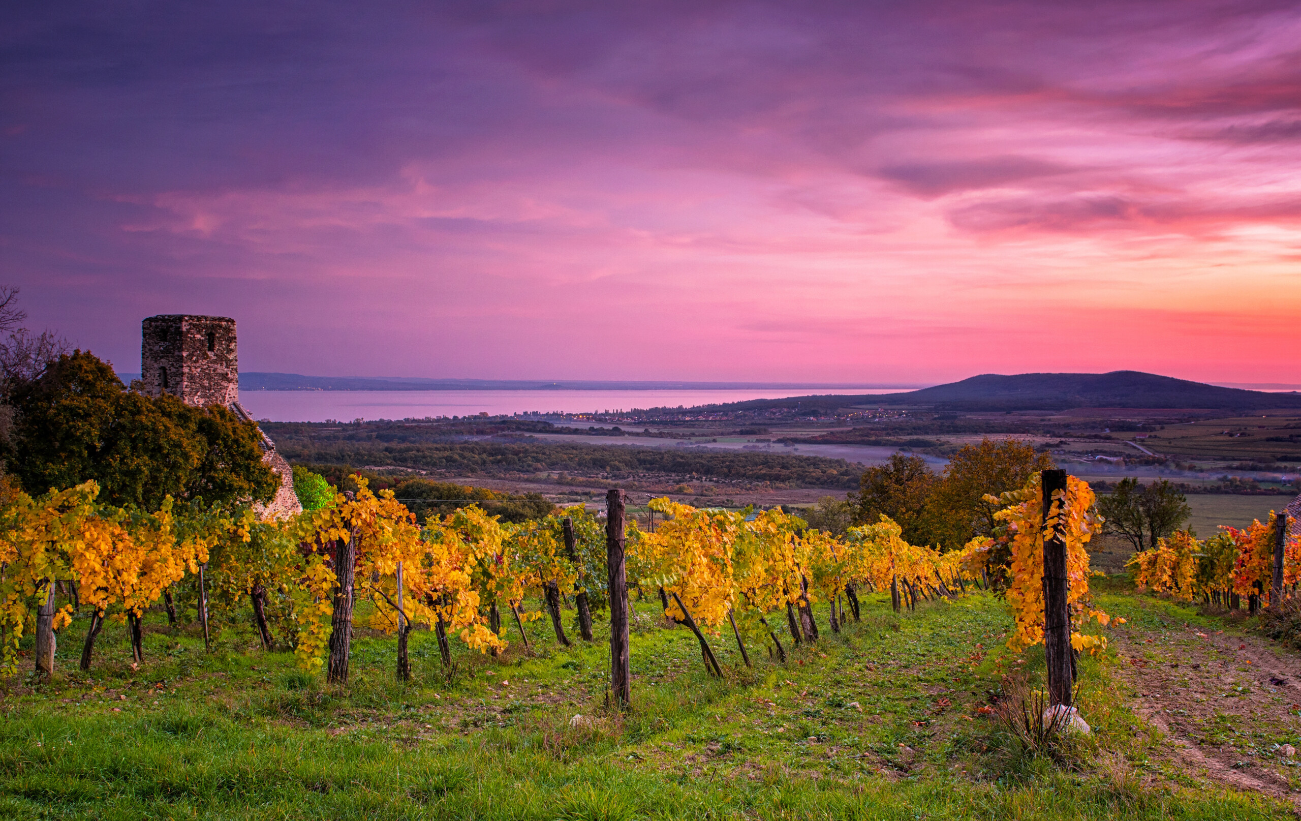 Hungarian Wine Tour - Balaton Wine Region