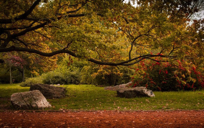 Autumn walks in Budapest