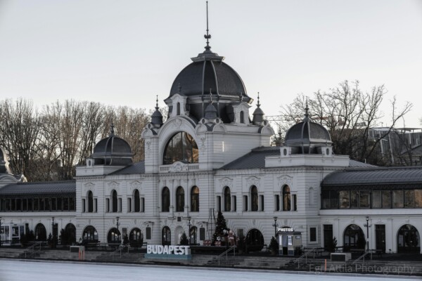 February events in Budapest