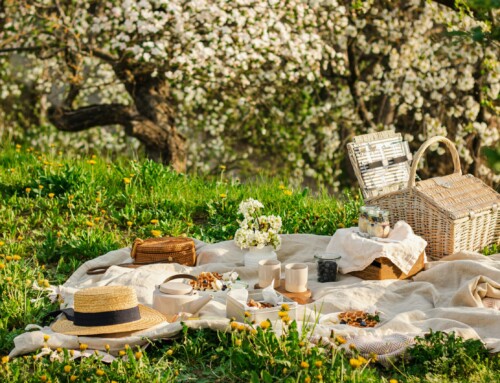 Picnic Spots in Budapest: The Best Parks for a Sunny Spring Day