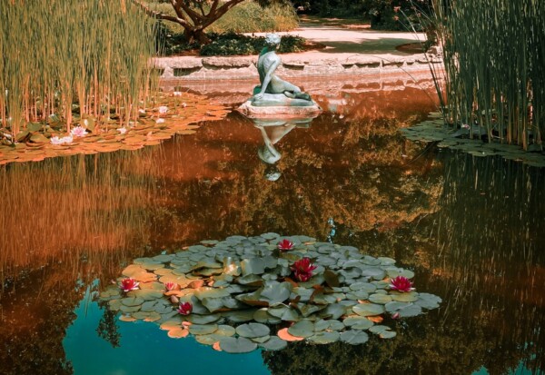 Margaret Island in Budapest