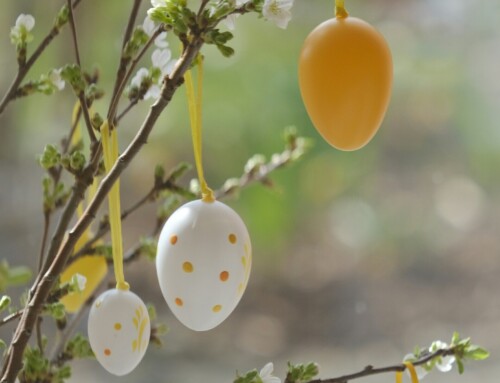 Don’t Miss These April Events in Budapest